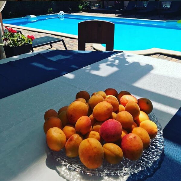 Гостевой дом Вилла Магриб и Шарк Поповка-17