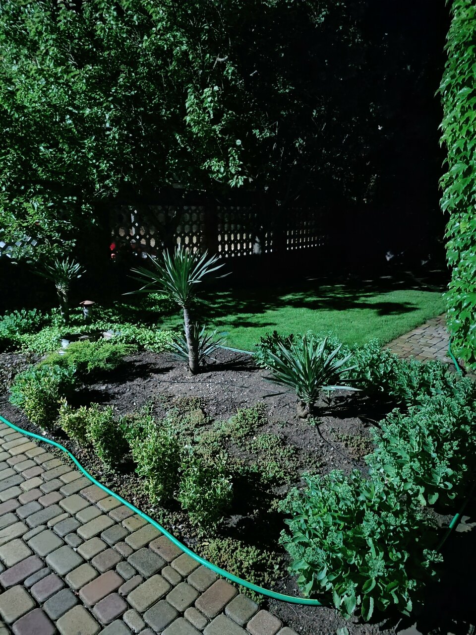 Гостевой дом Вилла Магриб и Шарк Поповка-90