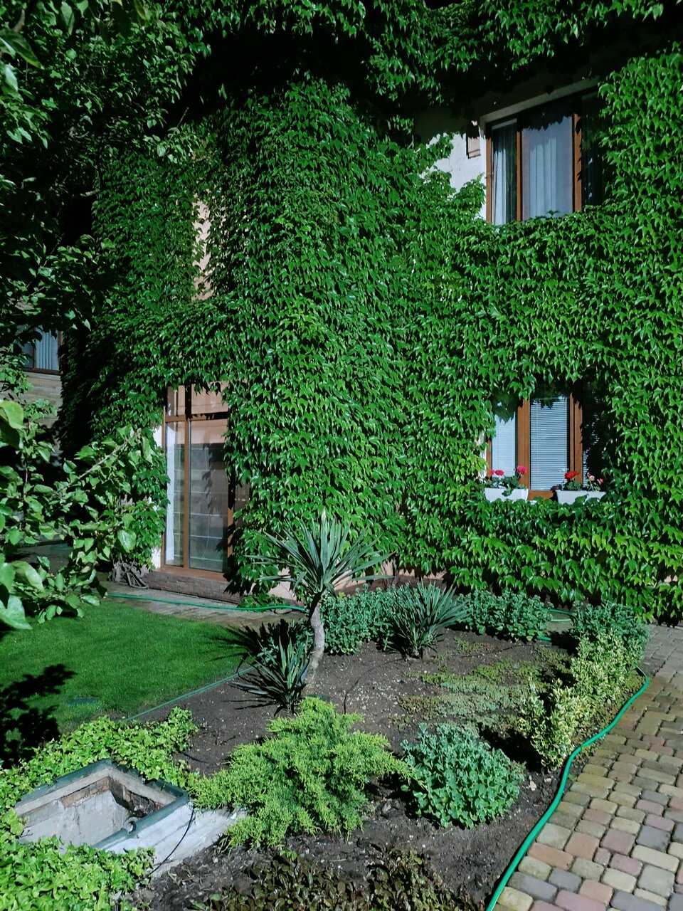 Гостевой дом Вилла Магриб и Шарк Поповка-83