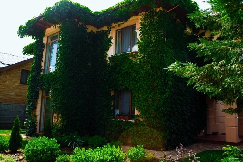 Гостевой дом Вилла Магриб и Шарк Поповка-57