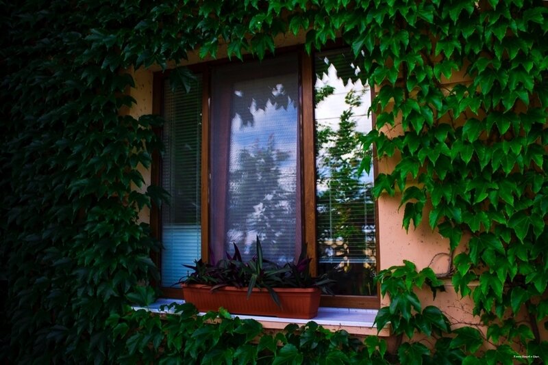 Гостевой дом Вилла Магриб и Шарк Поповка-87